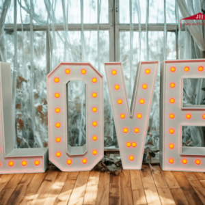 LOVE Light Up Letters
